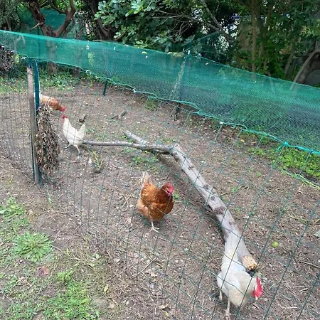 Carcazen Bed & Breakfast *